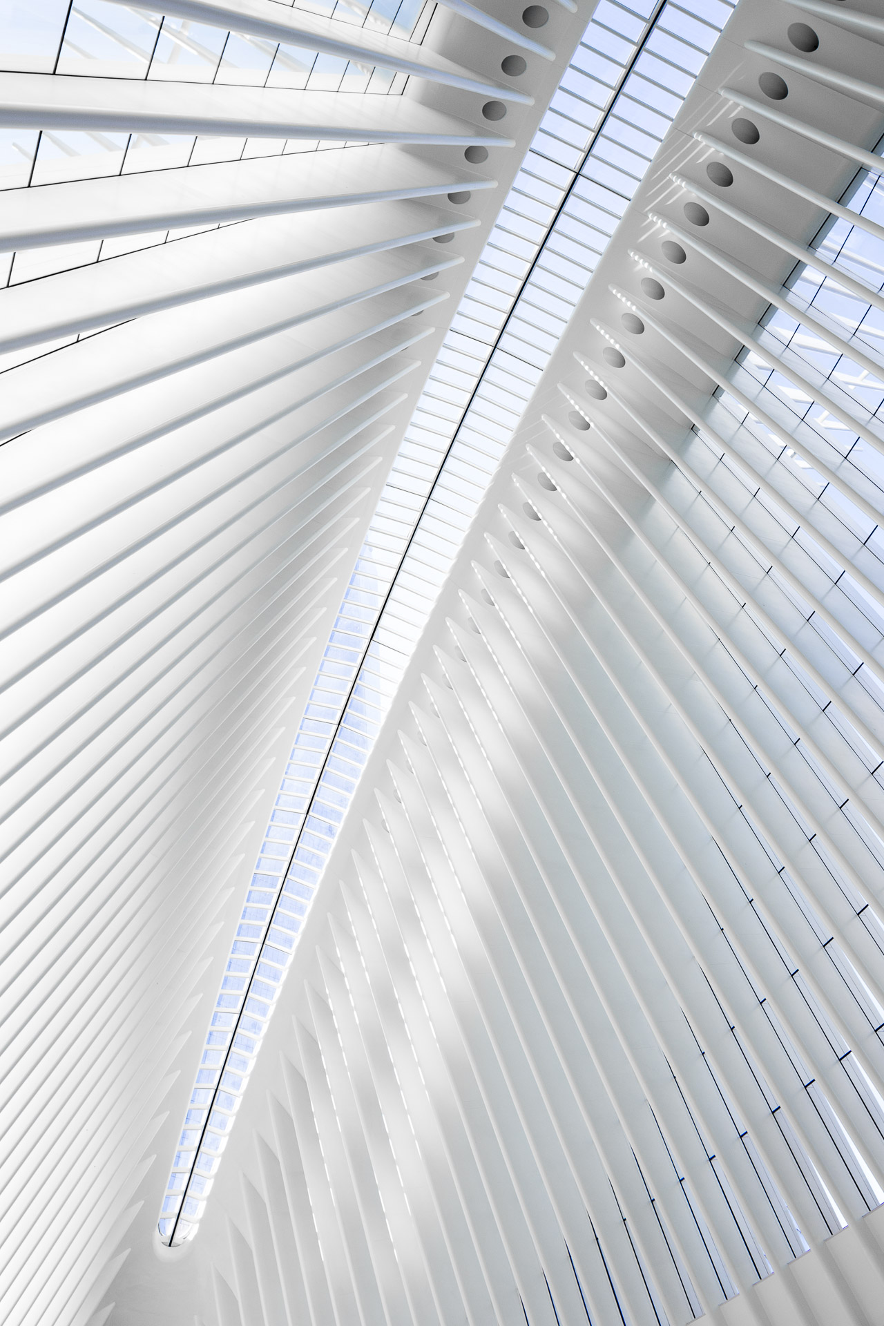 WTC Oculus-Calatrava